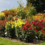 21.08.2021. Kielce. Ogród botaniczny / Wiktor Taszłow / Radio Kielce