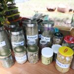 21.08.2021. Las nieopodal Nowin. VII Konwent Grupy Bushcraft Poland / Wiktor Taszłow / Radio Kielce