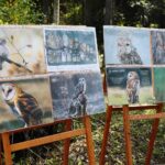 21.08.2021. Las nieopodal Nowin. VII Konwent Grupy Bushcraft Poland / Wiktor Taszłow / Radio Kielce