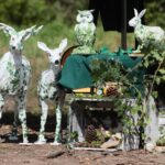 21.08.2021. Las nieopodal Nowin. VII Konwent Grupy Bushcraft Poland / Wiktor Taszłow / Radio Kielce