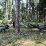 21.08.2021. Las nieopodal Nowin. VII Konwent Grupy Bushcraft Poland / Wiktor Taszłow / Radio Kielce