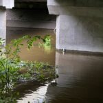 31.08.2021. Kielce Słowik. Przekroczony stan alarmowy na Bobrzy / Jarosław Kubalski / Rado Kielce