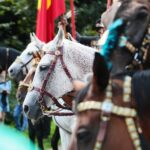 22.08.2021. Święty Krzyż. Widowisko plenerowe „Opowieść jak żywa…” / Wiktor Taszłow / Radio Kielce