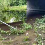 31.08.2021. Kielce Słowik. Przekroczony stan alarmowy na Bobrzy / Jarosław Kubalski / Rado Kielce