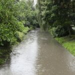 24.08.2021. Kielce. Rzeka Silnica / Wiktor Taszłow / Radio Kielce