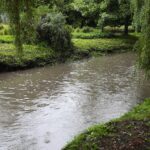 24.08.2021. Kielce. Rzeka Silnica / Wiktor Taszłow / Radio Kielce