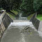 24.08.2021. Kielce. Rzeka Silnica / Wiktor Taszłow / Radio Kielce