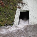 24.08.2021. Kielce. Rzeka Silnica / Wiktor Taszłow / Radio Kielce