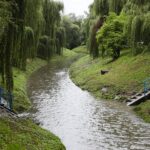 24.08.2021. Kielce. Rzeka Silnica / Wiktor Taszłow / Radio Kielce