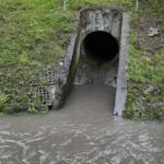 24.08.2021. Kielce. Rzeka Silnica / Wiktor Taszłow / Radio Kielce