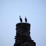 13.08.2021. Ujazd. Koncert "Polska dziękuje - w duchu Niepodległej" / Jarosław Kubalski / Radio Kielce