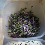 05.08.2021. Letnia kuchnia Radia Kielce. Mięsny czwartek / Anna Kwapisz / Radio Kielce