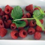 03.08.2021. Letnia kuchnia Radia Kielce. Słodkie wtorki / Anna Kwapisz / Radio Kielce