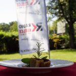 09.08.2021. Letnia kuchnia Radia Kielce. Wegański poniedziałek / Anna Kwapisz / Radio Kielce