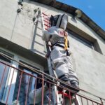 Lato pełne interwencji. Strażacy usuwają gniazda os i szerszeni