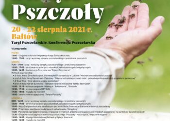 XIV Świętokrzyskie Święto Pszczoły - Radio Kielce