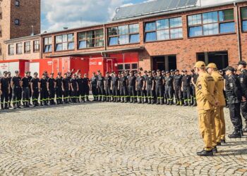 Państwowa Straż Pożarna / gov.pl