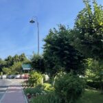 07.08.2021. Tarłów. Rynek / Emilia Sitarska / Radio Kielce