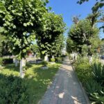 07.08.2021. Tarłów. Rynek / Emilia Sitarska / Radio Kielce