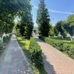 07.08.2021. Tarłów. Rynek / Emilia Sitarska / Radio Kielce