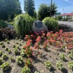 07.08.2021. Tarłów. Rynek / Emilia Sitarska / Radio Kielce