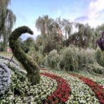 09.07.2021. Kielce. Park Miejski. Wierzba uszkodzona przez wichurę / Wiktor Taszłow / Radio Kielce