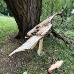 09.07.2021. Kielce. Park Miejski. Wierzba uszkodzona przez wichurę / Wiktor Taszłow / Radio Kielce