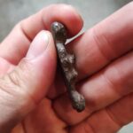 20.09.2021. Chodlik. Figurka znaleziona przez członków stowarzyszenia historycznego „Pasja” z Końskich / Dr Łukasz Miechowicz