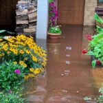 01.09.2021. Górki Szczukowskie. Podtopienia posesji w gminie Piekoszów / Zbigniew Piątek/Facebook