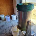 29.09.2021. Złota. Winobranie. Winnica „Złota wieś" / Winnica „Złota wieś"