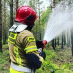 14.09.2021. Leśnictwo Mnichów. Ćwiczenia „Lasy 2021" / KP PSP w Jędrzejowie