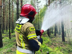 14.09.2021. Leśnictwo Mnichów. Ćwiczenia „Lasy 2021" / KP PSP w Jędrzejowie