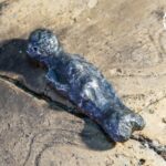 20.09.2021. Chodlik. Figurka znaleziona przez członków stowarzyszenia historycznego „Pasja” z Końskich / Dr Łukasz Miechowicz