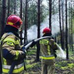 14.09.2021. Leśnictwo Mnichów. Ćwiczenia „Lasy 2021" / KP PSP w Jędrzejowie