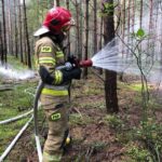14.09.2021. Leśnictwo Mnichów. Ćwiczenia „Lasy 2021" / KP PSP w Jędrzejowie