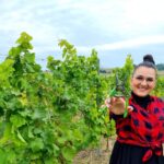 29.09.2021. Złota. Winobranie. Winnica „Złota wieś" / Winnica „Złota wieś"