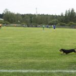 10.09.2021. Kielce. Wystawa fotograficzna „niedzielna piłka” / Kamila Błaszkiewicz / Włodzimierz Batóg