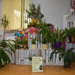 16.09.2021. Chmielnik. Punkt Adopcji Roślin i Książek w Bibliotece Publicznej Miasta i Gminy Chmielnik / Ewa Wawrzyk / Biblioteka Publiczna Miasta i Gminy Chmielnik