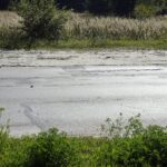 09.09.2021. Kielce. Ulica Zagnańska / Anna Kwapisz / Radio Kielce