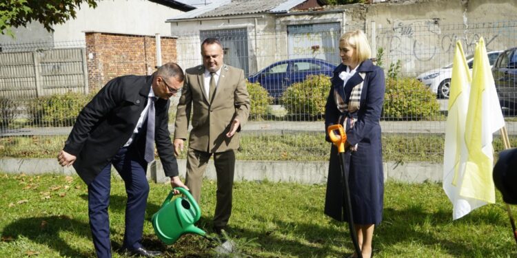 21.09.2021. Kielce. Sadzenie „Jodeł Papieskich” wraz z odsłonięciem tablicy okolicznościowej na terenie SP. nr 20 w Kielcach. Na zdjęciu (od lewej): Arkadiusz Ślipikowski - radny Rady Miasta Kielce, Roman Wróblewski - zastępca nadleśniczego nadleśnictwa Kielce, Renata Janik - wicemarszałek województwa świętokrzyskiego / Anna Kwapisz / Radio Kielce