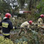 24.09.2021. Kielce. Zespół Szkół Elektrycznych. Strażacy usuwają kasztanowca / Kamil Król / Radio Kielce