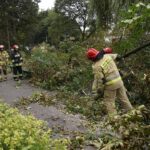 24.09.2021. Kielce. Zespół Szkół Elektrycznych. Strażacy usuwają kasztanowca / Kamil Król / Radio Kielce