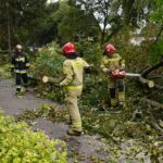 24.09.2021. Kielce. Zespół Szkół Elektrycznych. Strażacy usuwają kasztanowca / Kamil Król / Radio Kielce