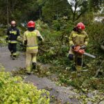 24.09.2021. Kielce. Zespół Szkół Elektrycznych. Strażacy usuwają kasztanowca / Kamil Król / Radio Kielce