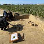 28.09.2021. Sadowie. Prace archeologiczne - cmentarzysko kultury amfor kulistych. Na zdjęciu: grób zwierzęcy z kośćmi krowy / Wojciech Pasterkiewicz / Uniwersytet Rzeszowski