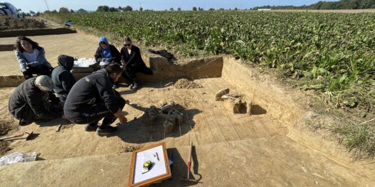 28.09.2021. Sadowie. Prace archeologiczne - cmentarzysko kultury amfor kulistych. Na zdjęciu: grób zwierzęcy z kośćmi krowy / Wojciech Pasterkiewicz / Uniwersytet Rzeszowski