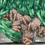 26.09.2021. Zagnańsk. I Ogólnopolski Turniej Szachowy z okazji 1021. urodzin Dębu Bartka / Iwona Murawska / Radio Kielce