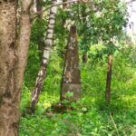 Pomnik na górze Zelejowej / Karol Sierar