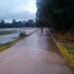 31.08.2021. Gmina Czarnocin. Skutki gwałtownej ulewy / Marta Gajda-Kruk / Radio Kielce