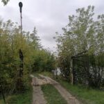 23.09.2021. Tereny wokół kazimierskiego zbiornika wodnego, które będą poddane rewitalizacji / Marta Gajda-Kruk / Radio Kielce